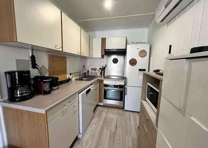 Climatisee Dans Les Tamaris, 3 Chambres, Veranda, Wifi, A 400m De La De Lrtamg15 *