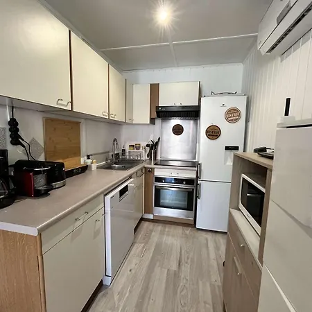 Climatisee Dans Les Tamaris, 3 Chambres, Veranda, Wifi, A 400m De La De Lrtamg15 *
