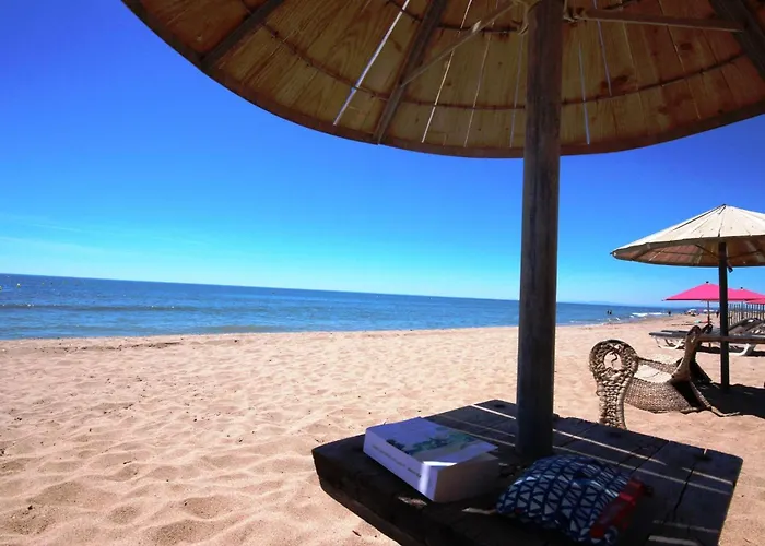 Climatisee Dans Les Tamaris, 3 Chambres, Veranda, Wifi, A 400m De La De Lrtamg15 *